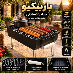 خرید باربیکیو ذغالی